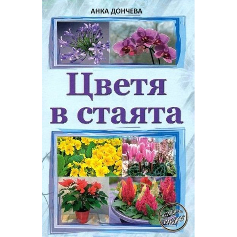 ЦВЕТЯ В СТАЯТА ЦВЕТЯ В СТАЯТА
