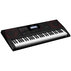 СИНТЕЗАТОР CASIO CT-X3000 СИНТЕЗАТОР CASIO CT-X3000