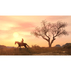 P4 RED DEAD REDEMPTION P4 RED DEAD REDEMPTION