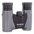 БИНОКЪЛ OLYMPUS 10X21 RC II DARK SILVER БИНОКЪЛ OLYMPUS 10X21 RC II DARK SILVER