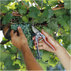 GARDENA НОЖИЦА B+/L Premium GARDENA НОЖИЦА B+/L Premium