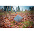 FISKARS ФИКСИРАНО ГРЕБЛО SOLID L FISKARS ФИКСИРАНО ГРЕБЛО SOLID L
