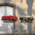 БАЛКОНИЕРА COTTAGE 80CM МОКА 15615 БАЛКОНИЕРА COTTAGE 80CM МОКА 15615
