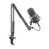 МИКР. GENESIS RADIUM 400 STUDIO NGM-1377 МИКР. GENESIS RADIUM 400 STUDIO NGM-1377