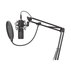 МИКР. GENESIS RADIUM 400 STUDIO NGM-1377 МИКР. GENESIS RADIUM 400 STUDIO NGM-1377