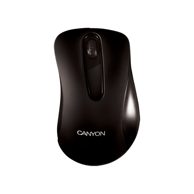 Mouse CANYON CNE-CMS2 Mouse CANYON CNE-CMS2