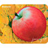 ПАД ЗА М. DEFENDER Juicy sticker 50412 ПАД ЗА М. DEFENDER Juicy sticker 50412