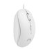 МИШКА NATEC SPARROW WHITE NMY-1188 МИШКА NATEC SPARROW WHITE NMY-1188