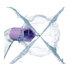 ЗЪБЕН ДУШ PHILIPS SONICARE HX3911/40 ЗЪБЕН ДУШ PHILIPS SONICARE HX3911/40