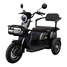 ELECTRIC TRICYCLE TOPSCOOTERS X3 ELECTRIC TRICYCLE TOPSCOOTERS X3