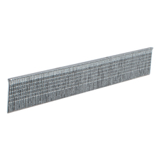 NAILS FOR PNEUMATIC STAPLER 5,000 PCS. RAIDER RD-AS02 5000 БРОЯ NAILS FOR PNEUMATIC STAPLER 5,000 PCS. RAIDER RD-AS02 5000 БРОЯ