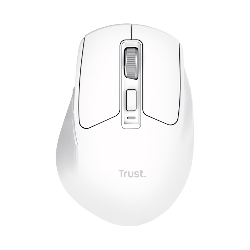 Mouse TRUST Niven Comfortable White 26022 Mouse TRUST Niven Comfortable White 26022
