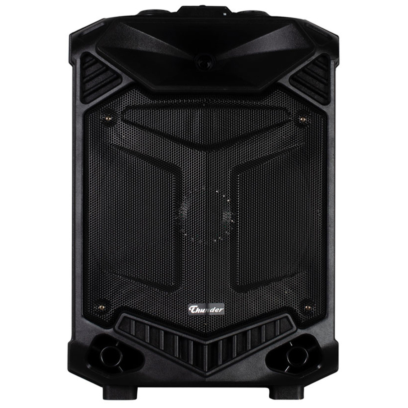 Аудио система THUNDER THS-B1201BTW Аудио система THUNDER THS-B1201BTW