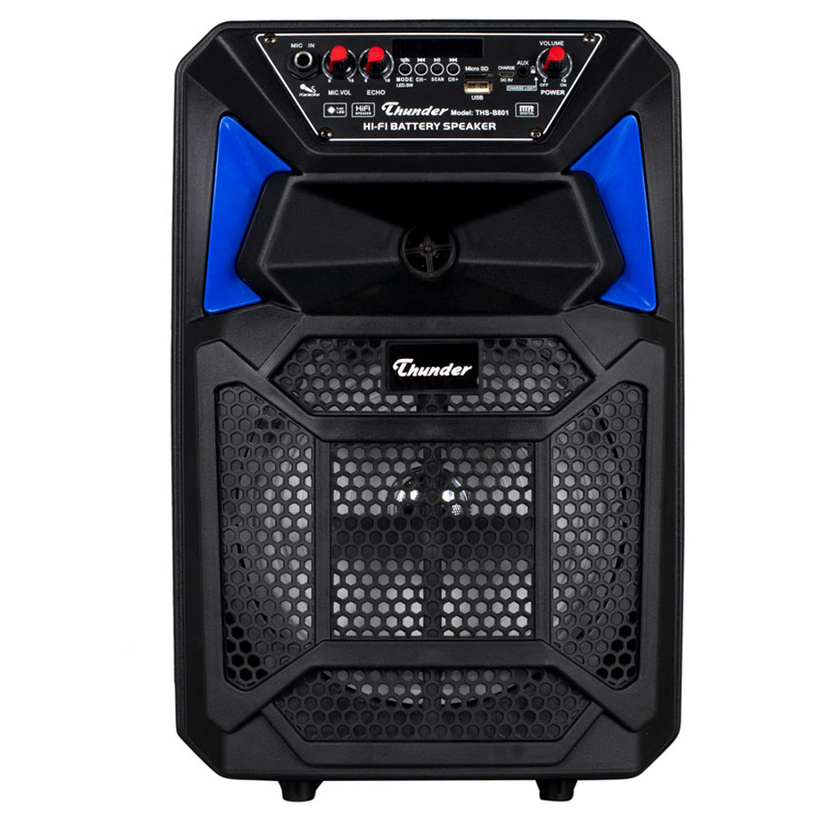 Audio system THUNDER THS-B801 Audio system THUNDER THS-B801