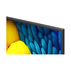 LCD TV LG UHD 86NANO81A3A LCD TV LG UHD 86NANO81A3A