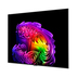 OLED TV LG UHD OLED65G61LW OLED TV LG UHD OLED65G61LW