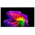 OLED TV LG UHD OLED65G61LW OLED TV LG UHD OLED65G61LW