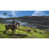 P5 AVATAR FRONTIERS OF PANDORA STANDARD P5 AVATAR FRONTIERS OF PANDORA STANDARD