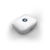 СЛУШАЛКИ MOTOROLA BUDS BLUEBERRY СЛУШАЛКИ MOTOROLA BUDS BLUEBERRY
