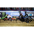 P4 MONSTER ENERGY SUPERCROSS 6 P4 MONSTER ENERGY SUPERCROSS 6