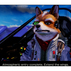 SW2 STAR FOX SW2 STAR FOX