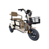 ЕЛЕКТРИЧЕСКА ТРИКОЛКА SCOOTEREL APM2 BEI ЕЛЕКТРИЧЕСКА ТРИКОЛКА SCOOTEREL APM2 BEI