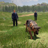 P5 AUTOBAHN POLICE SIMULATOR 3 COMPLETE P5 AUTOBAHN POLICE SIMULATOR 3 COMPLETE