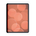 ПРОТЕКТОР DISPLEX IPAD AIR 13" 2024/2025 ПРОТЕКТОР DISPLEX IPAD AIR 13" 2024/2025