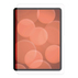 ПРОТЕКТОР DISPLEX IPAD PRO 13" 2024/2025 ПРОТЕКТОР DISPLEX IPAD PRO 13" 2024/2025
