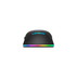 МИШКА LENOVO M210 RGB GY51M74265 МИШКА LENOVO M210 RGB GY51M74265