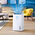 ОБЕЗВЛАЖНИТЕЛ PHILIPS DE5305/11 ОБЕЗВЛАЖНИТЕЛ PHILIPS DE5305/11