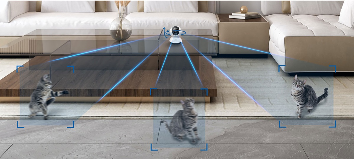 Motion detection