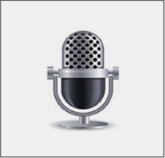 Voice in App